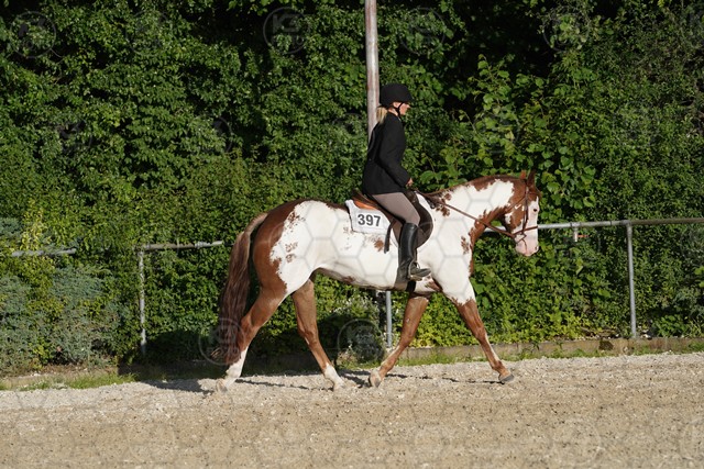 sA9K06047.JPG